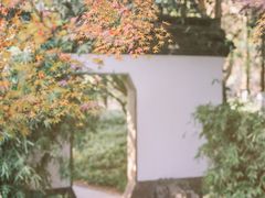 -西湖游船