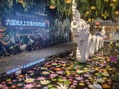 -西双版纳原始森林公园