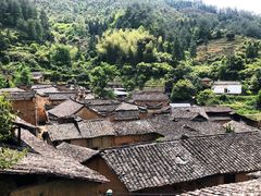 -杨家堂村