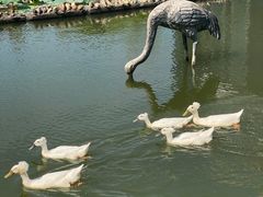 -苏州河梦清园环保主题公园