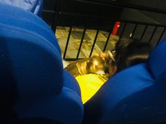 -奥斯卡国际影城(杜比全景声&4D激光店)