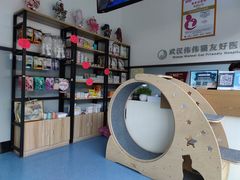 -伟伟宠物医院·瑞派猫友好医院·猫科(光谷店)