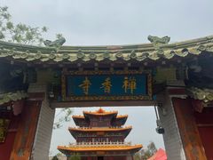 -曹州牡丹园