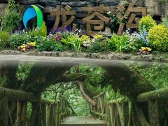 -龙苍沟森林公园