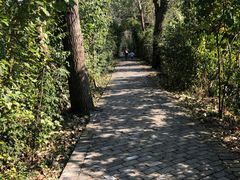 -溱湖国家湿地公园