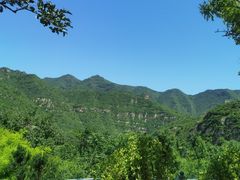 -幽岚山·童话森林