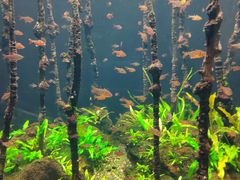 -成都浩海立方海洋公园