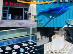 -贝壳梦幻世界