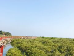 -北海金海湾红树林生态旅游区