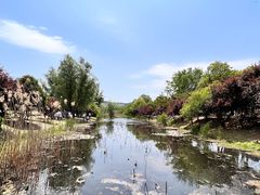-石塘人家