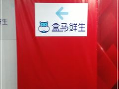 -盒马鲜生(大行宫店)