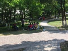 -重庆市江北嘴中央商务区中央公园