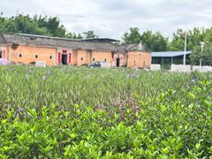 -苏家围·东江画廊旅游景区