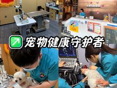 -pd派德宠物中心医院24H急重症·眼科中心·血液透析中心(嵩山北路店)