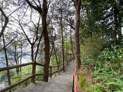 -铁山坪森林公园