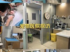-美迦爱-牙专科·兔科·骨科诊疗中心(北苑店)