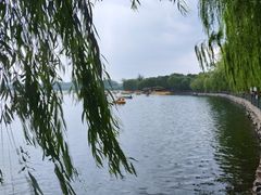 -护国寺小吃(东四店)
