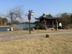 -江心屿景区