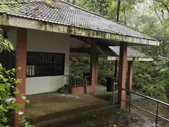 -九曜山