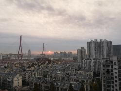 -复旦大学附属妇产科医院(杨浦院区)