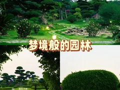 -南宁南湖公园