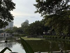 -荔湾湖公园