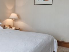 -南京维景国际大酒店(南京博物院店)