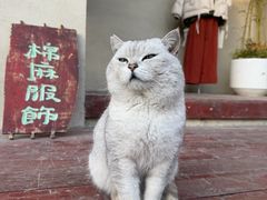 -辛庄国际文化艺术区