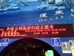 -蓬莱欧乐堡海洋极地世界