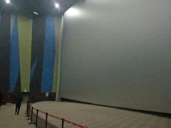 -天幕新彩云国际影城(激光巨幕店)