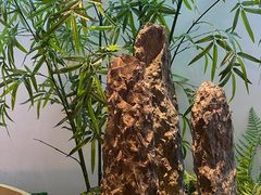 -小菜园新徽菜(无锡宜家荟聚中心店)