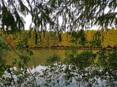 -上海海湾国家森林公园