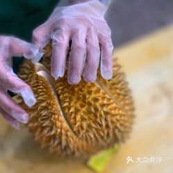 金枕榴莲图片实拍 DNo3R0YPhAg7IMF-5QISPcwz_wpMrqluqMuFdN5wBmWvukqXIXNch9e2cjMnjkwbuzFvxlbkWx5uwqY2qcjixFEuLYk00OmSS1IdNpm8K8sG4JN9RIm2mTKcbLtc2o2vfCF2ubeXzk49OsGrXt_KYDCngOyCwZK-s3fqawWswzk.jpg