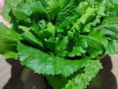 有机小白菜-和院老火锅铜锅烧烤海鲜(朱雀大街店)