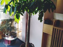 -时间里·新派粤菜(远洋店)