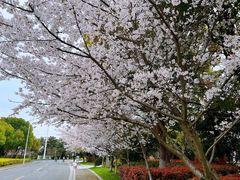 -石湖景区
