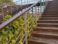 -贡湖湾湿地公园