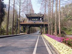 -青城山
