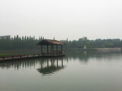 -圩墩遗址公园
