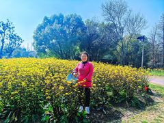 -乌村