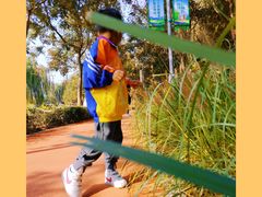 -大兴滨河森林公园