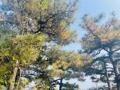-香山公园