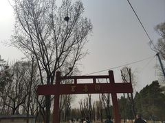 -森林公园(尖草坪区)