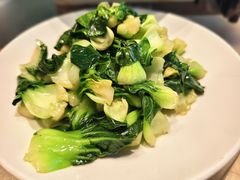 -佬肥猫(七宝宝龙店)