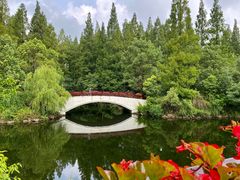 -东平国家森林公园