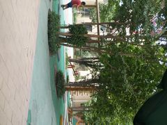 -国家林业和草原局幼儿园