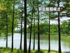 -贡湖湾湿地公园