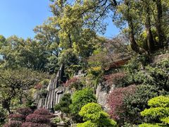 -南山植物园