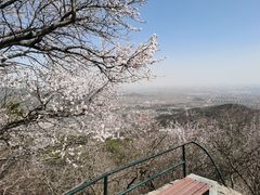 -香山公园