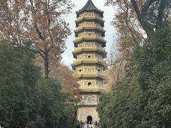 -灵谷景区